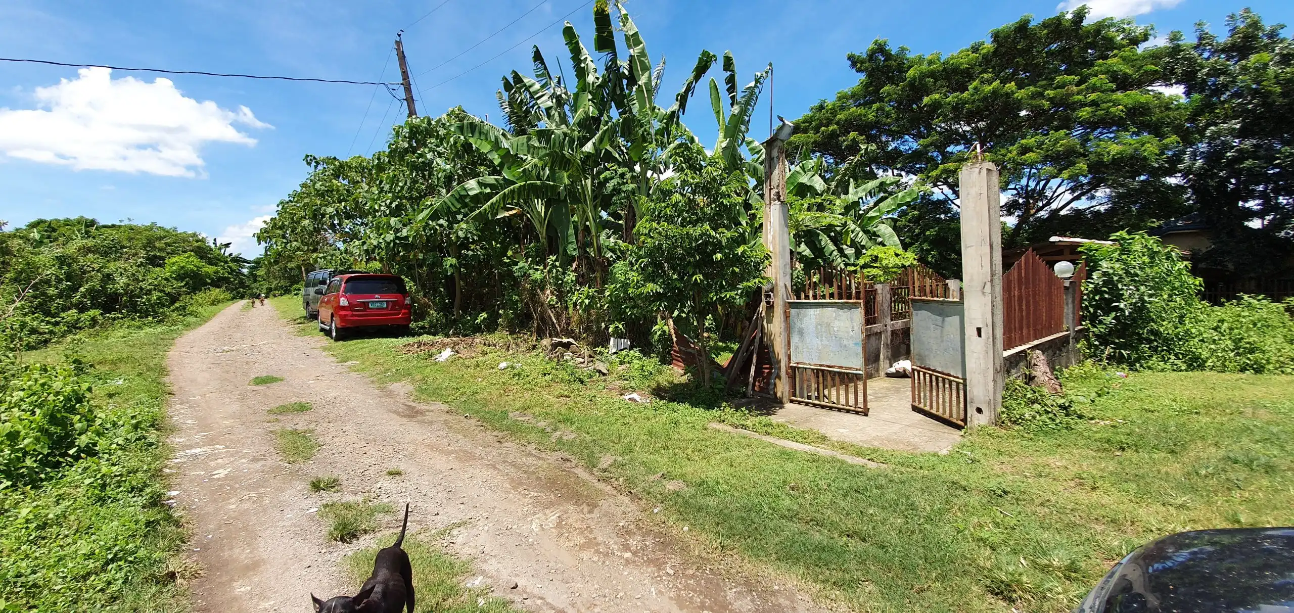 Property 33